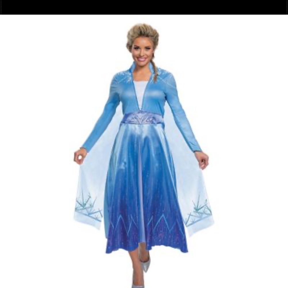 Adult frozen 2 Elsa dress